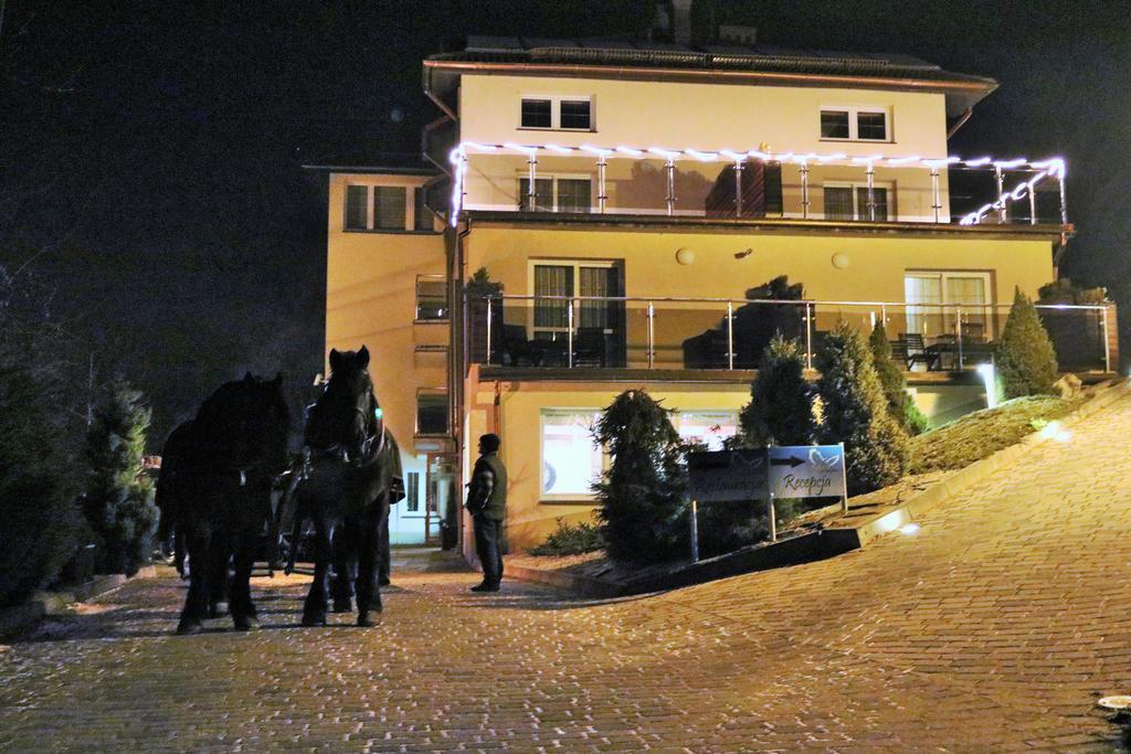 Willa Pod Skrzydlami Hotel Międzybrodzie Bialskie Buitenkant foto
